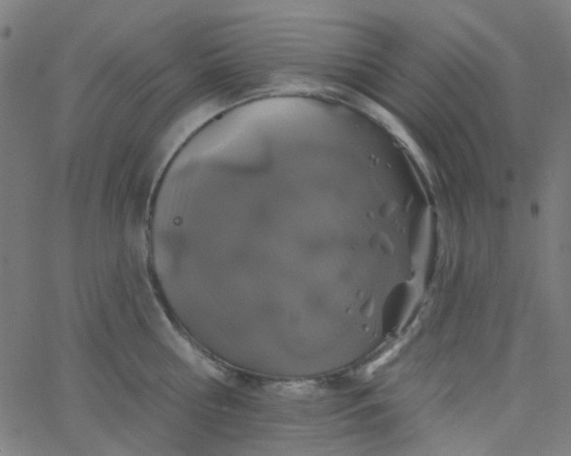 X0000067900810200604271851