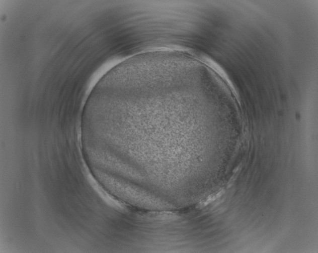 X0000067900811200604271851