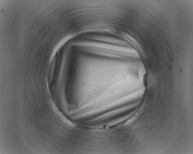 X0000067900812200604271851