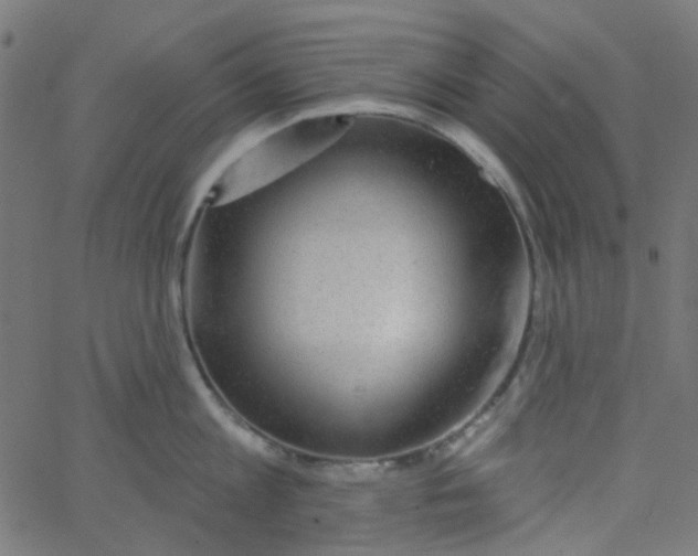 X0000067900813200604271851