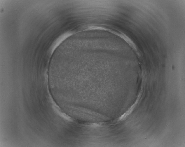 X0000067900814200604271851