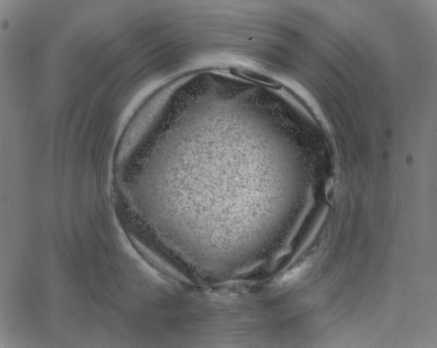 X0000067900815200604271851