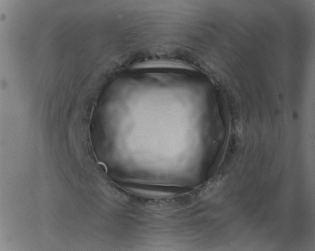 X0000067900817200604271850