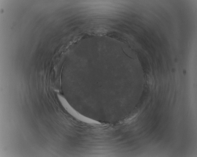 X0000067900818200604271850