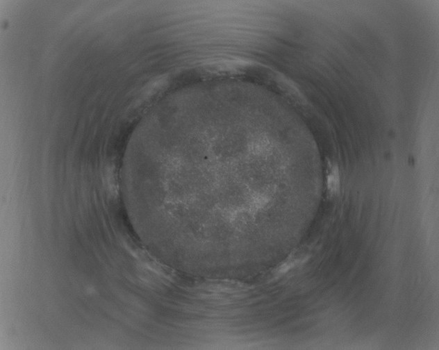 X0000067900819200604271850