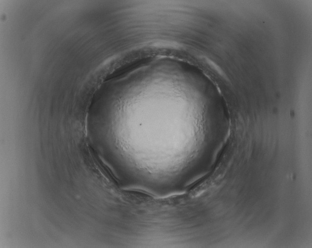 X0000067900821200604271850