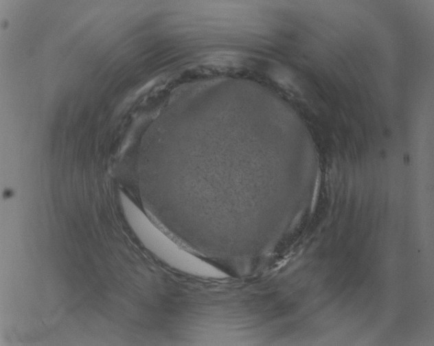 X0000067900822200604271850