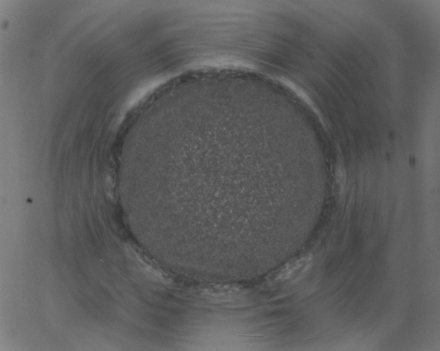 X0000067900823200604271850