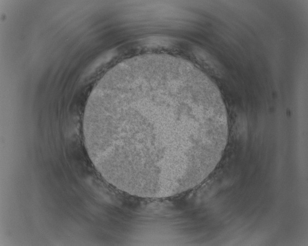 X0000067900824200604271850