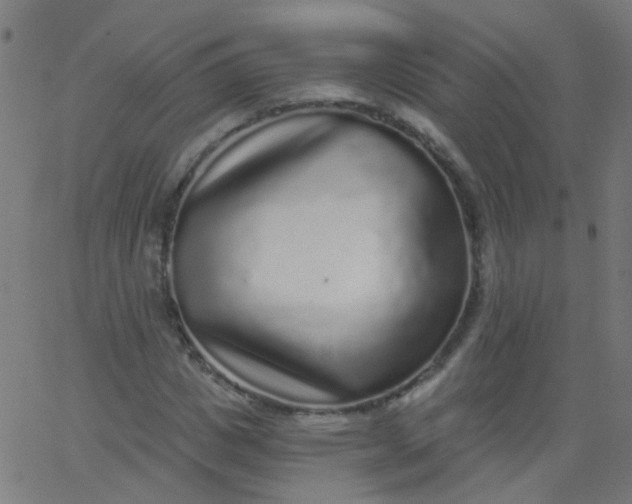 X0000067900825200604271850