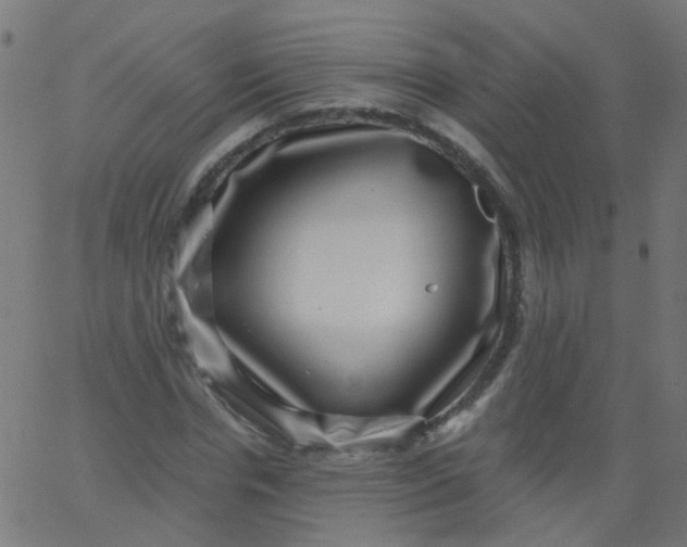 X0000067900826200604271850