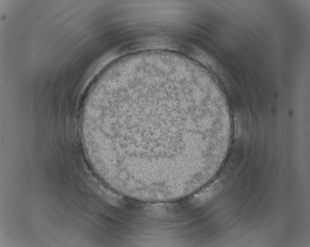 X0000067900828200604271850