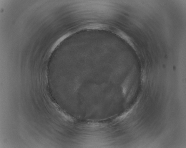 X0000067900829200604271850