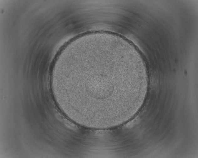 X0000067900832200604271850