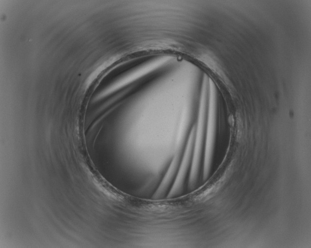 X0000067900834200604271850