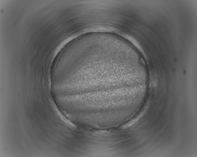 X0000067900837200604271850