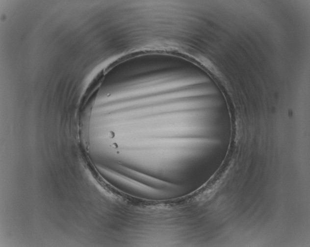 X0000067900838200604271850