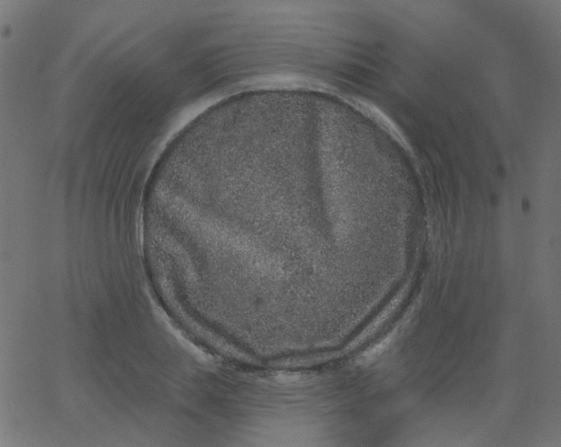 X0000067900839200604271850