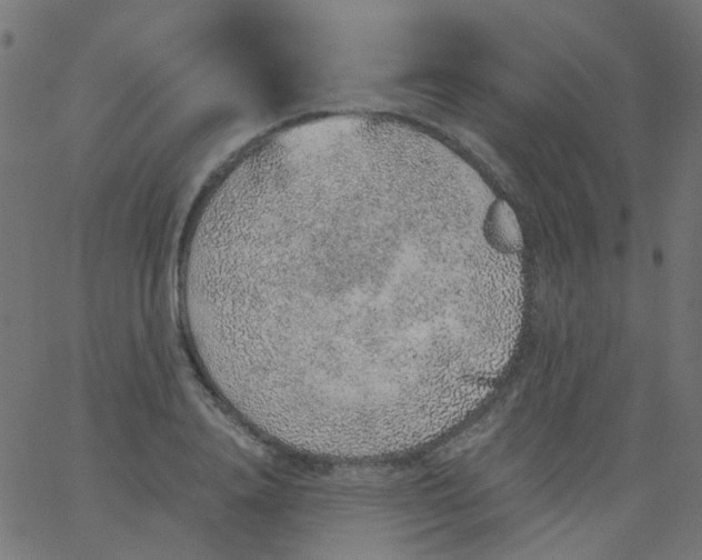 X0000067900840200604271850