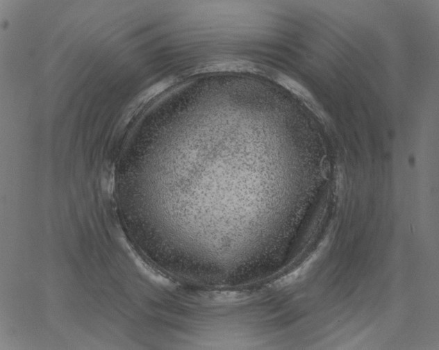 X0000067900841200604271850