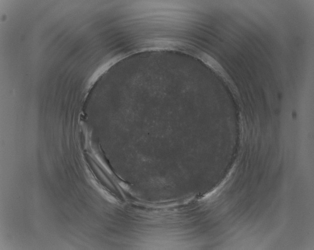 X0000067900842200604271850