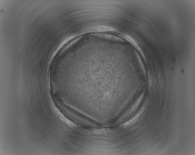 X0000067900843200604271850