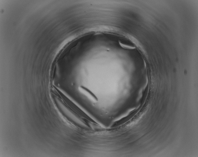 X0000067900845200604271850