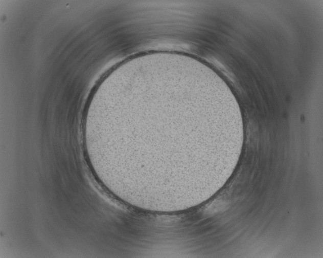 X0000067900848200604271851