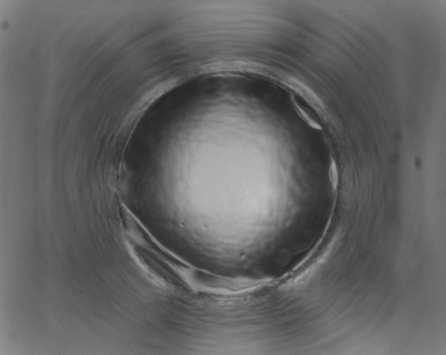 X0000067900849200604271851