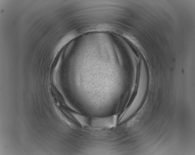 X0000067900850200604271851