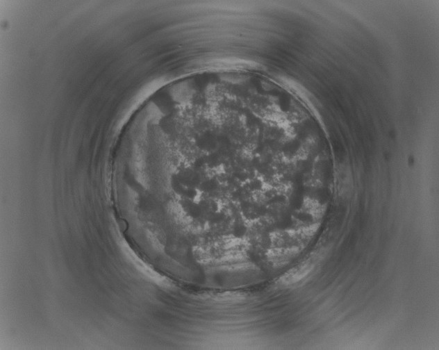 X0000067900851200604271851