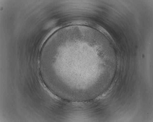 X0000067900852200604271851