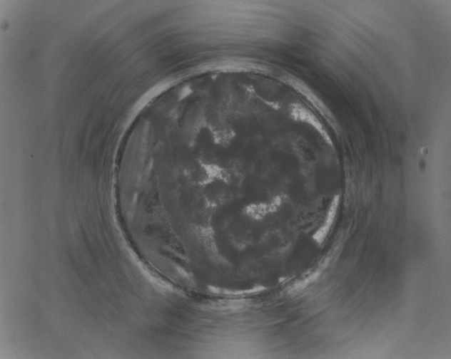 X0000067900853200604271851