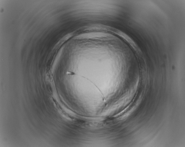 X0000067900857200604271851