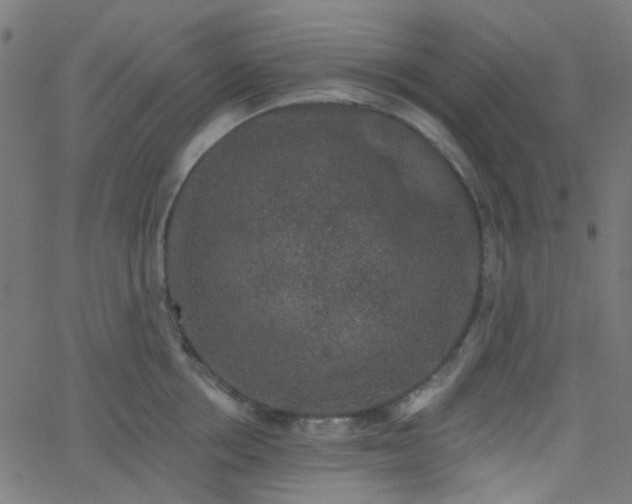 X0000067900858200604271851