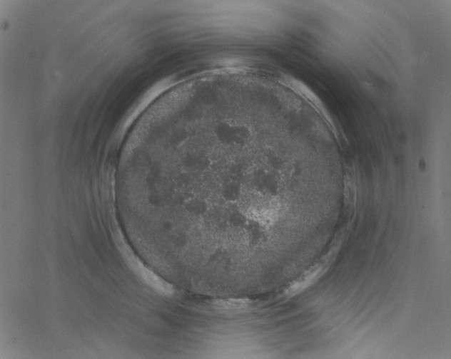 X0000067900859200604271851