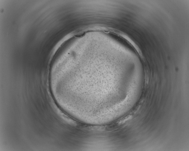 X0000067900861200604271851