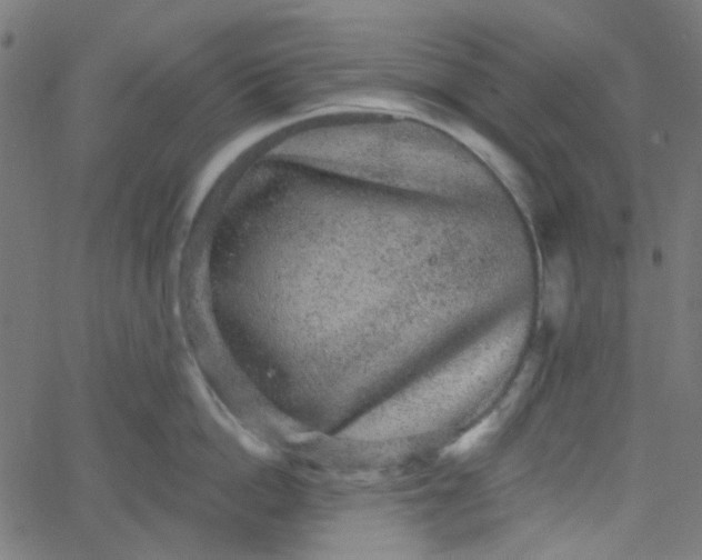 X0000067900862200604271851