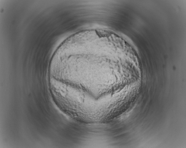 X0000067900863200604271851