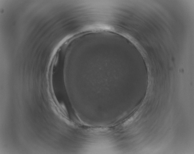 X0000067900864200604271851