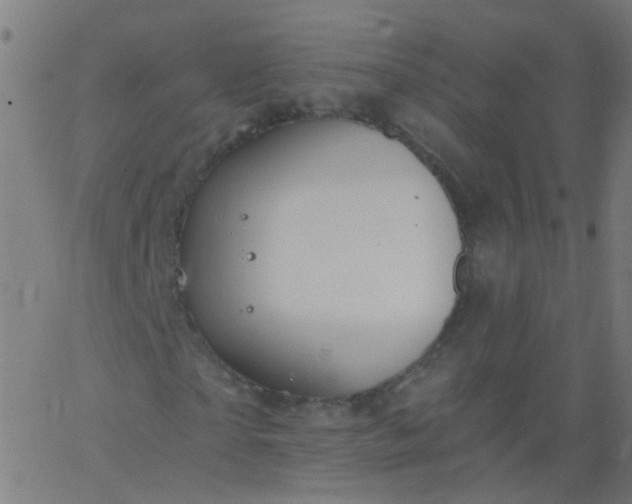 X0000067900865200604271850