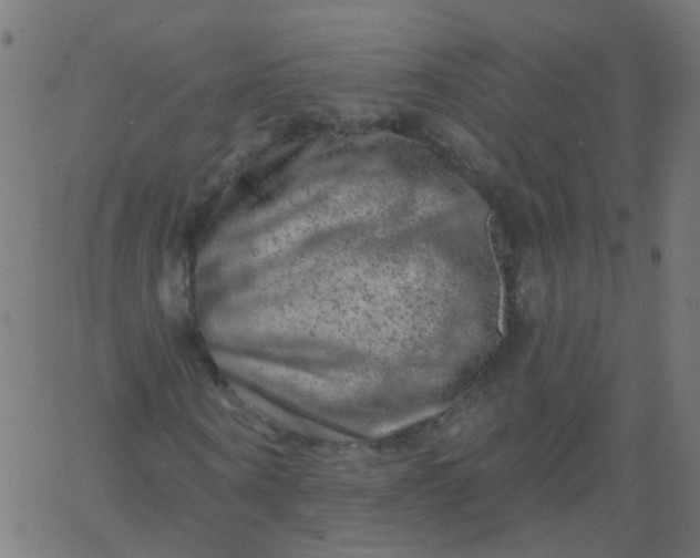 X0000067900866200604271850