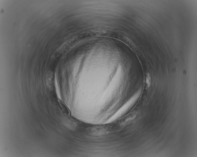 X0000067900867200604271850