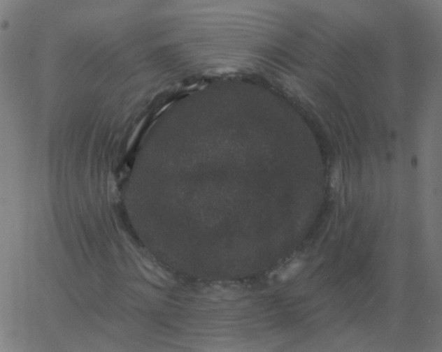 X0000067900868200604271850