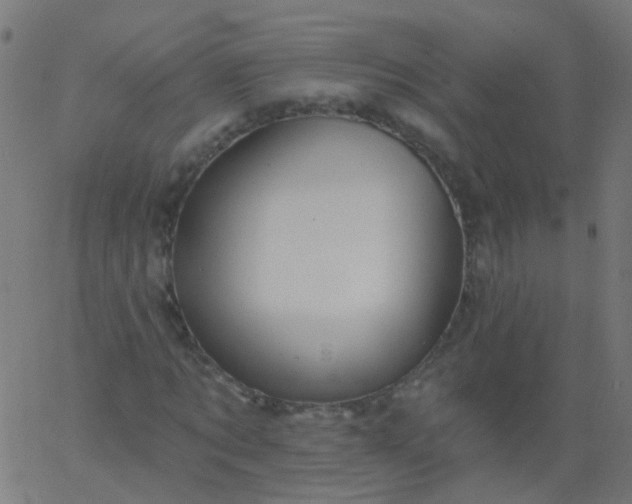 X0000067900869200604271850