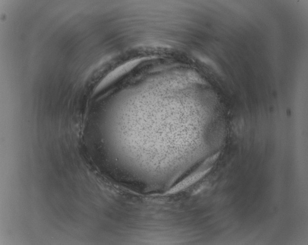 X0000067900870200604271850