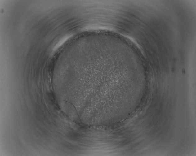 X0000067900871200604271850