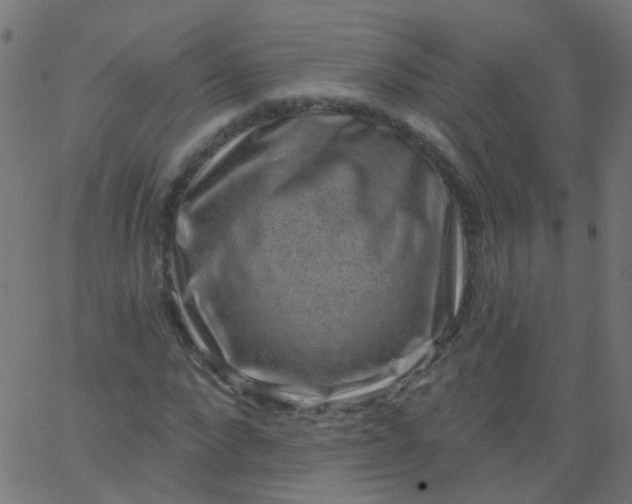 X0000067900872200604271850