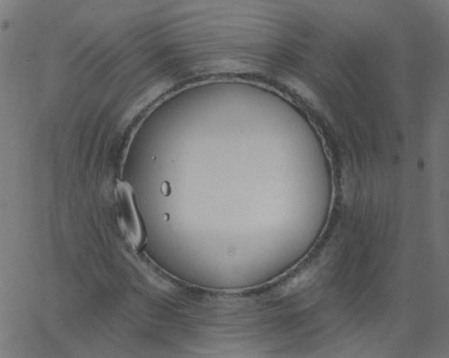 X0000067900873200604271850