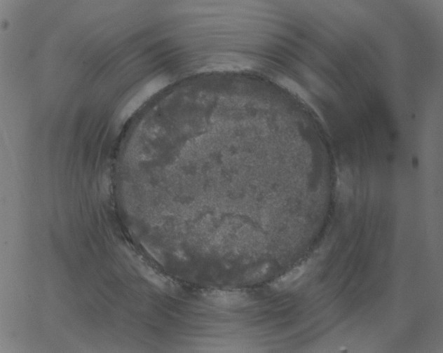 X0000067900874200604271850